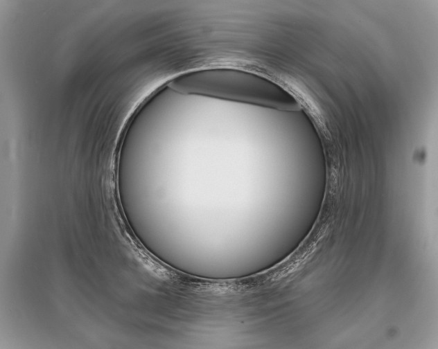 X0000096380948200801241000