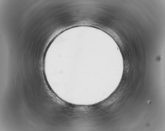 X0000096380950200801241000