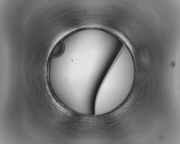 X0000096380951200801241000