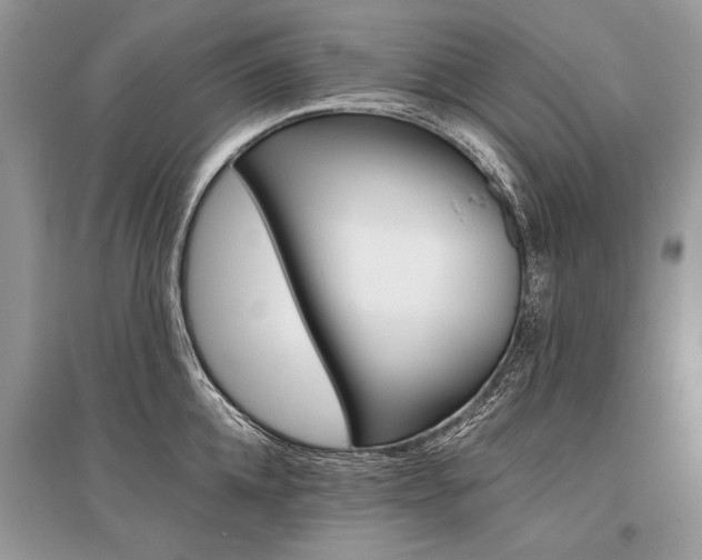 X0000096380952200801241000