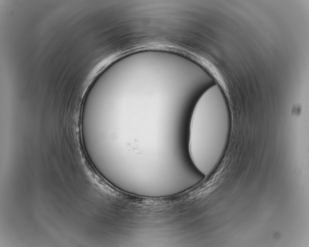 X0000096380954200801241000