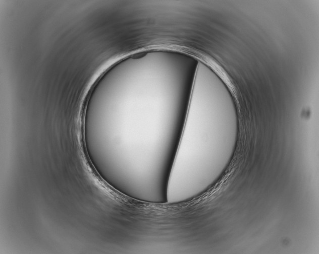 X0000096380955200801241000