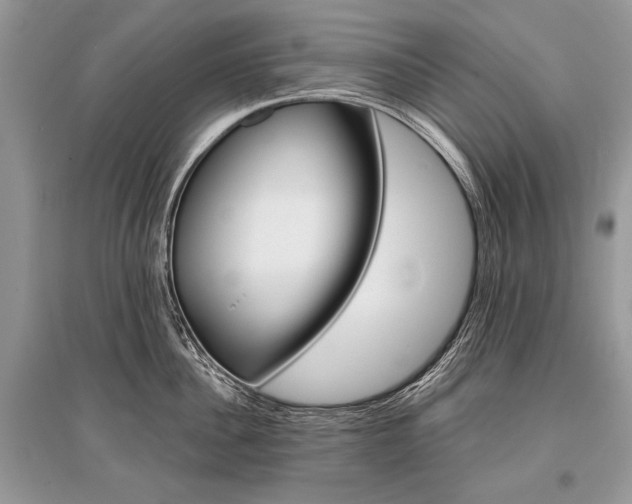 X0000096380956200801241000