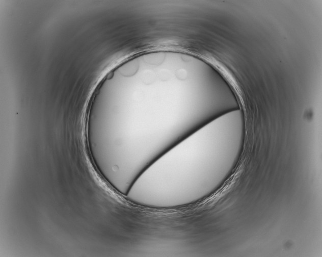 X0000096380957200801241000