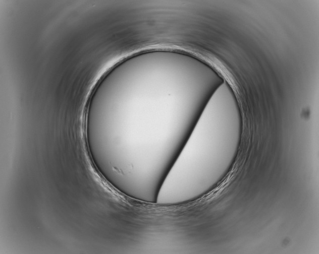 X0000096380958200801241000