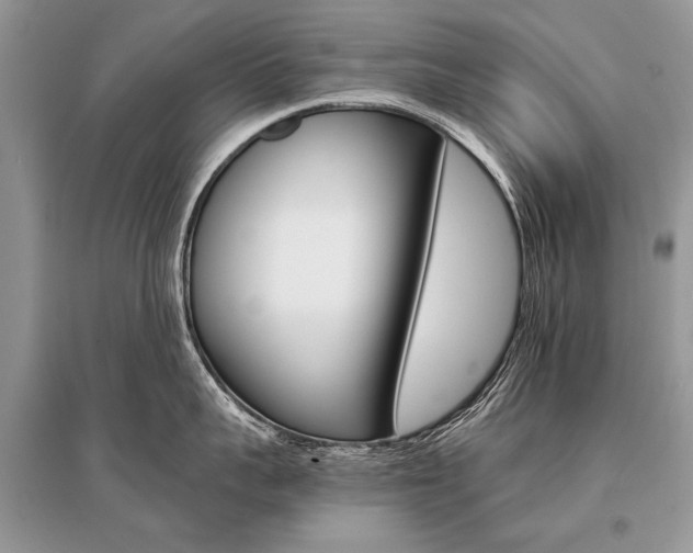X0000096380959200801241000