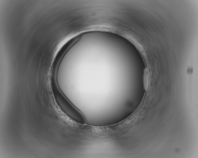 X0000096380960200801241000