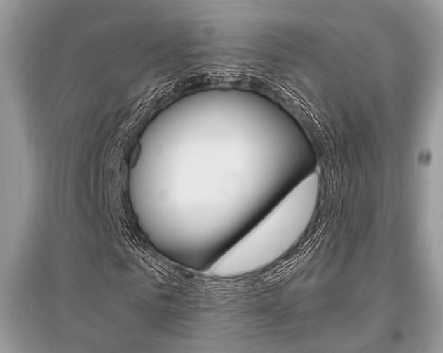 X0000096380961200801240959