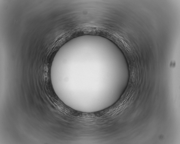 X0000096380964200801240959