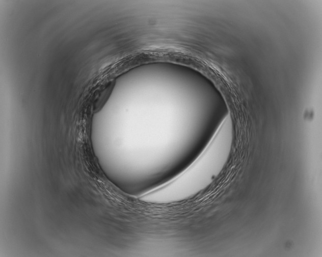 X0000096380965200801240959