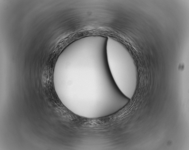 X0000096380966200801240959