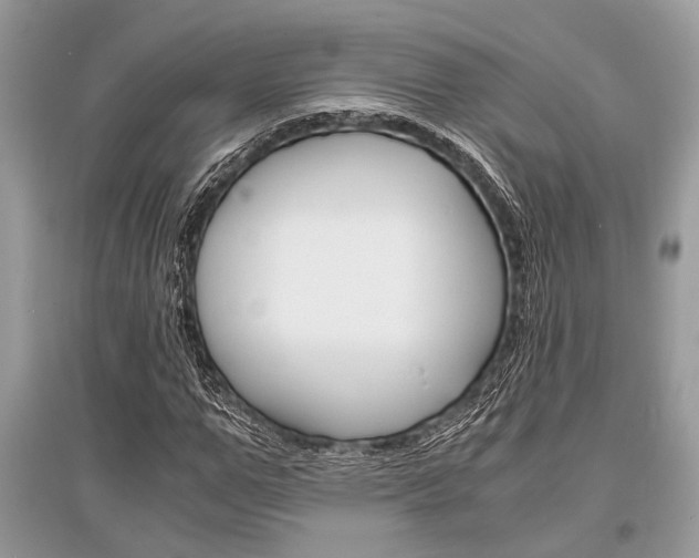 X0000096380967200801240959