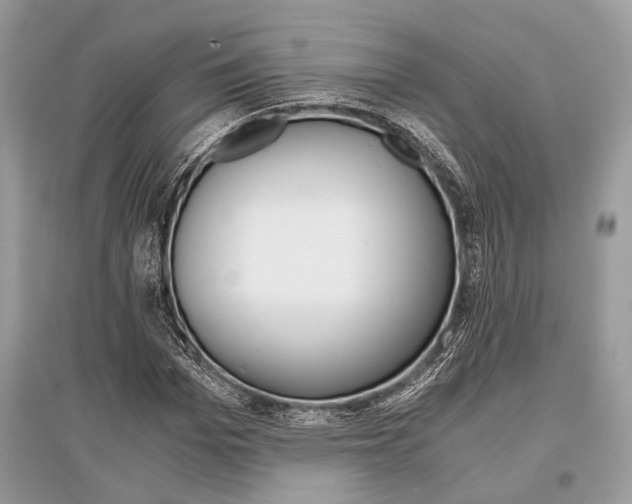 X0000096380969200801240959