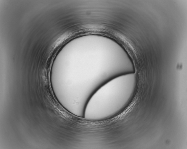 X0000096380970200801240959