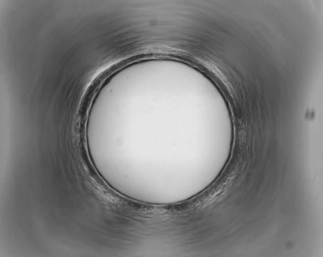 X0000096380971200801240959