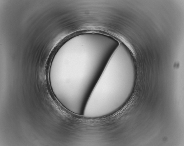 X0000096380972200801240959