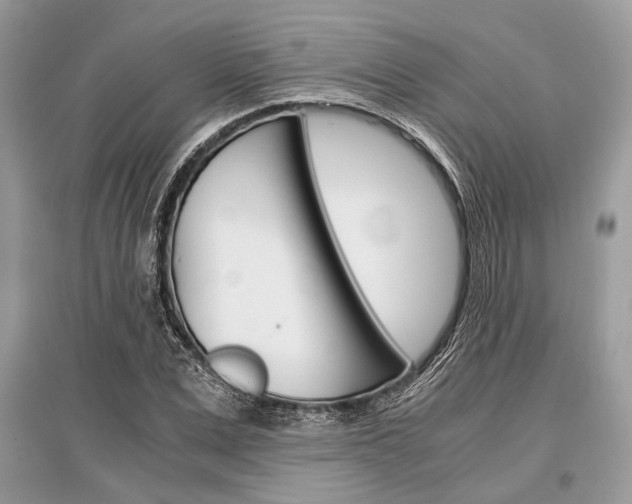 X0000096380975200801240959