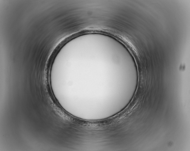 X0000096380976200801240959