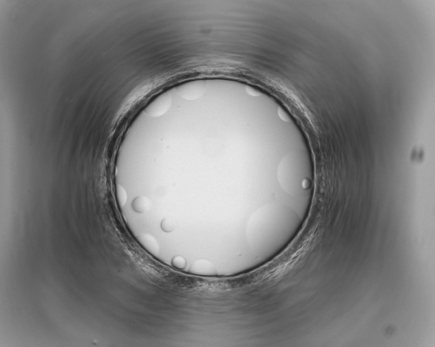 X0000096380978200801240959
