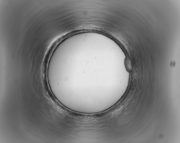 X0000096380979200801240959