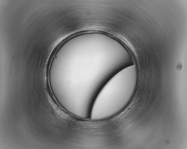 X0000096380980200801240959
