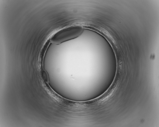 X0000096380981200801240959
