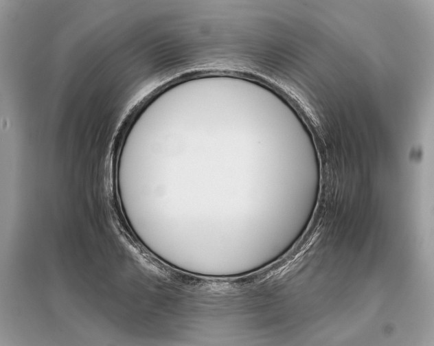X0000096380982200801240959