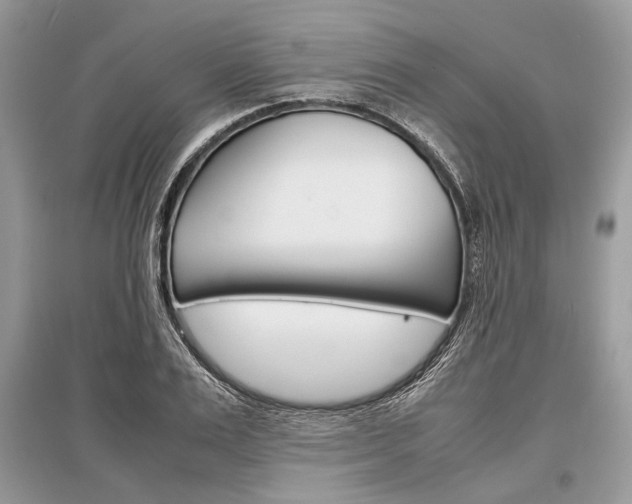 X0000096380983200801240959