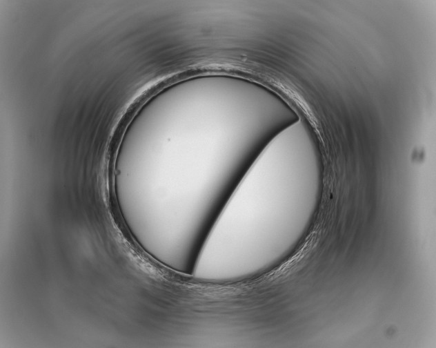 X0000096380984200801240959