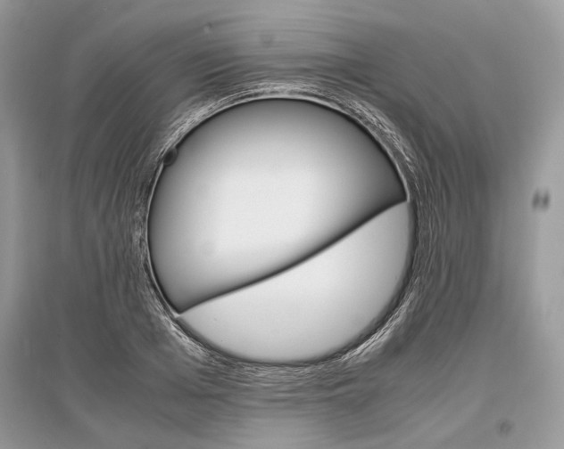 X0000096380985200801240959