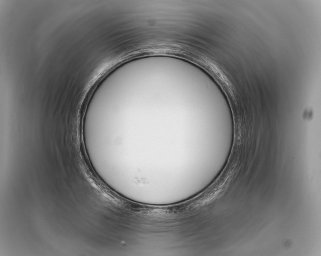 X0000096380986200801240959