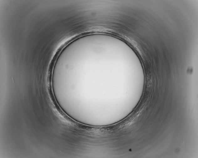 X0000096380987200801240959