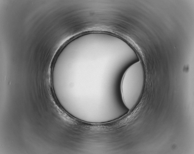 X0000096380988200801240959