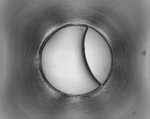 X0000096380990200801240959
