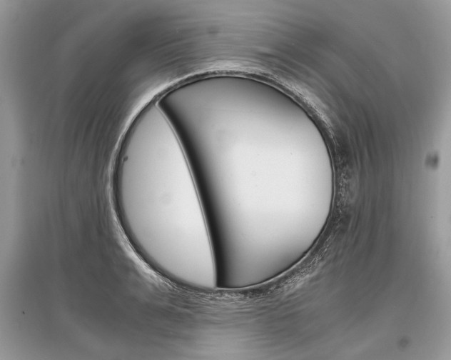 X0000096380991200801240959