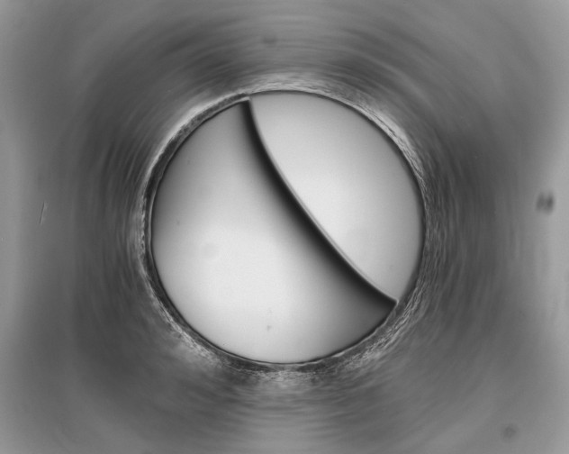X0000096380992200801240959
