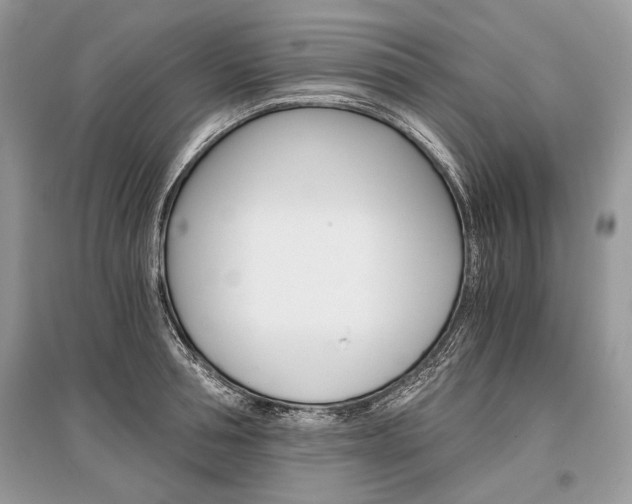 X0000096380994200801240959