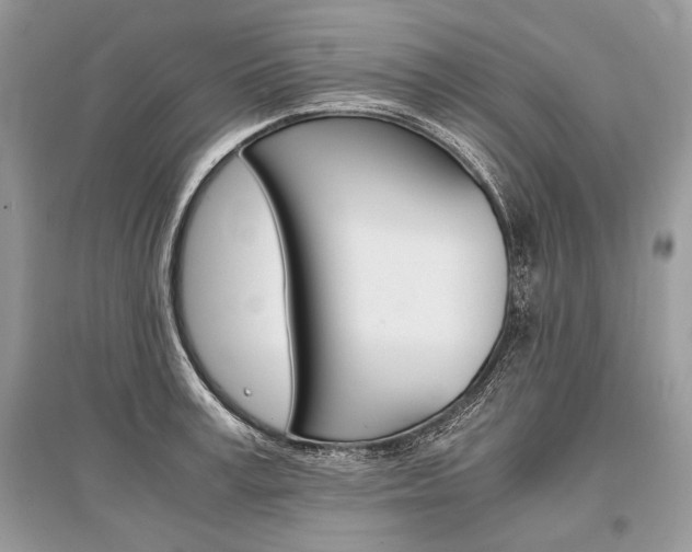 X0000096380995200801240959