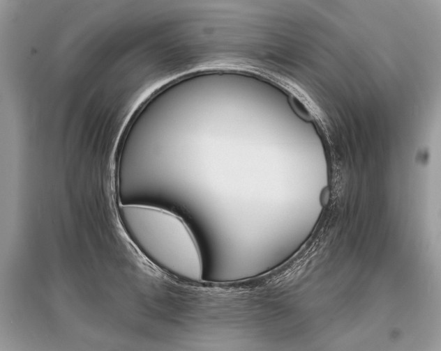 X0000096380996200801240959