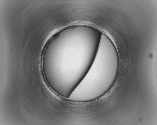 X0000096380997200801240959