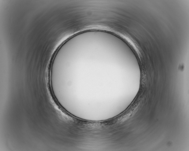 X0000096380999200801240959