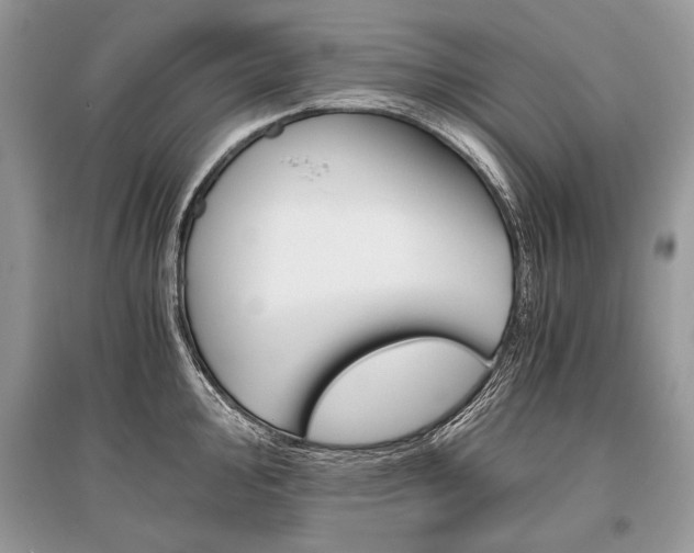 X0000096381000200801240959