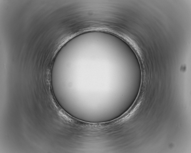 X0000096381001200801240959