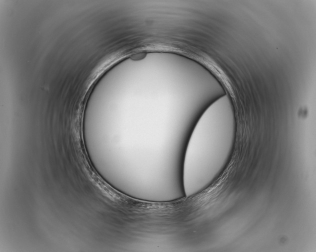 X0000096381002200801240959