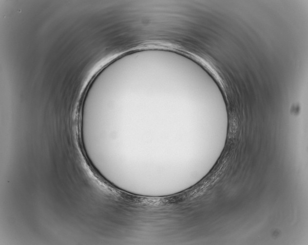 X0000096381003200801240959