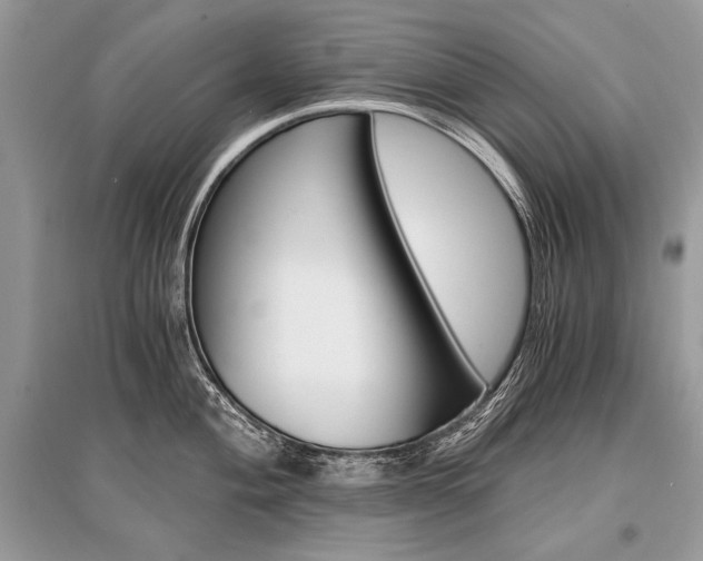 X0000096381004200801240959