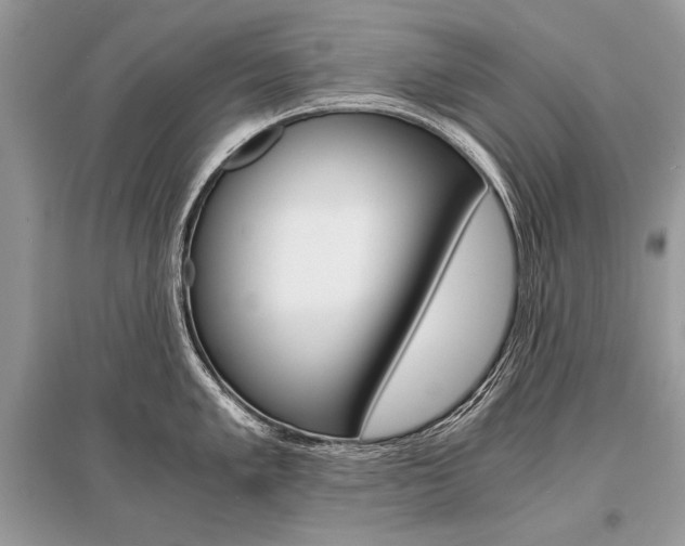 X0000096381005200801240959