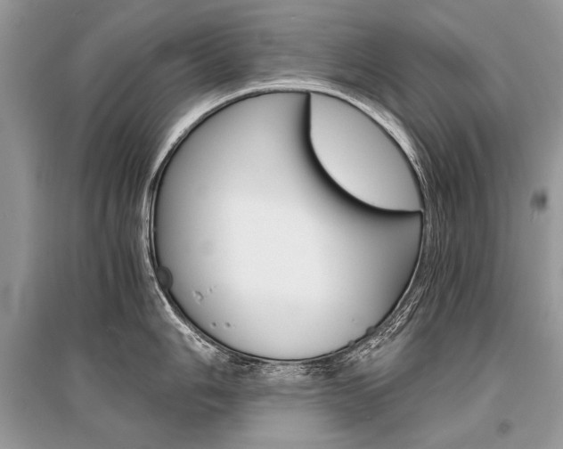 X0000096381006200801240959