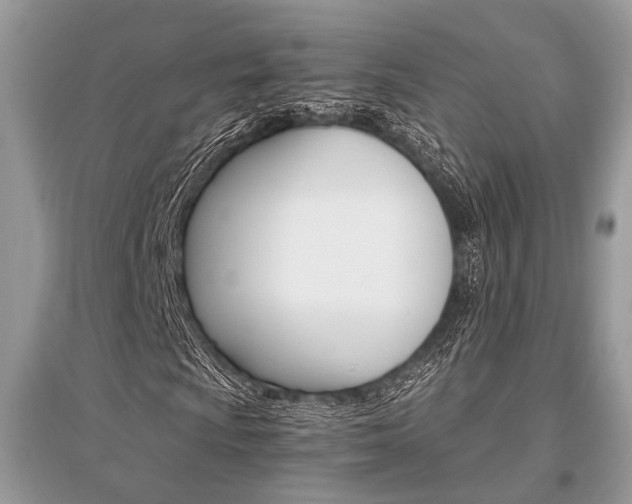 X0000096381009200801240958