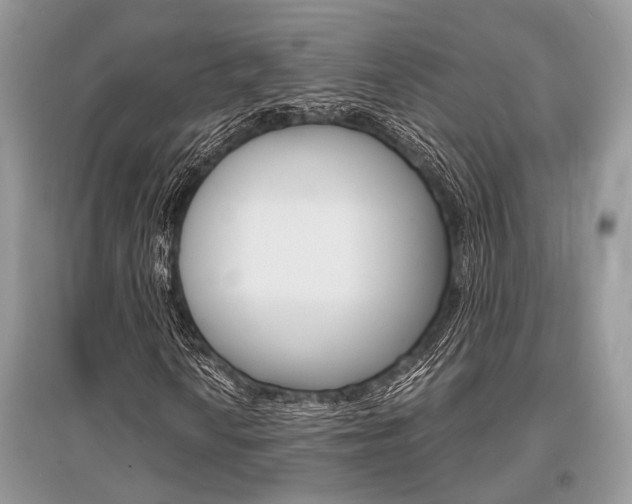 X0000096381010200801240958